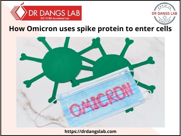 Omicron Spikes | Coronavirus | Dr Dangs Lab